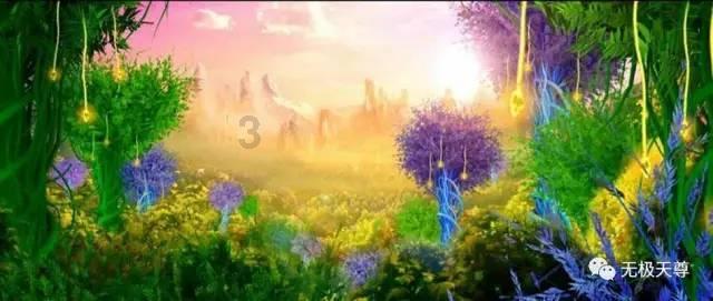 细胞分裂5